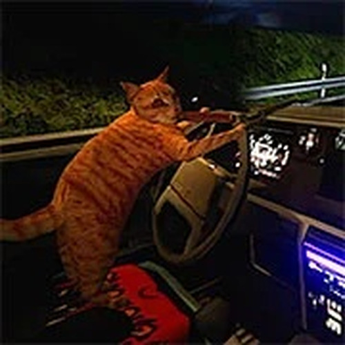 Nip For Speed Online Game