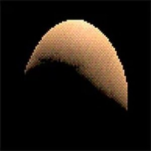 Egg Online Game