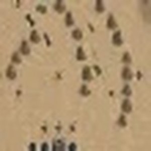 Storm TD Online Game