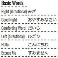 Japanese Word Learning Quiz