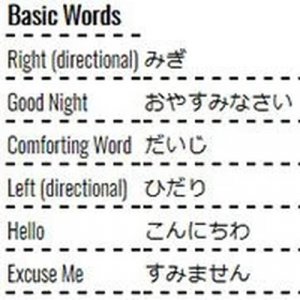 Learning Japanese Words Online Game