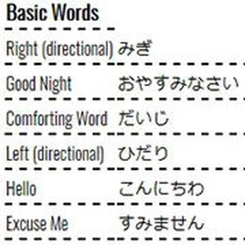 Learning Japanese Words Online Game