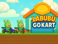 Labubu's Friendly Kart Adventure